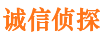 金牛私家调查公司